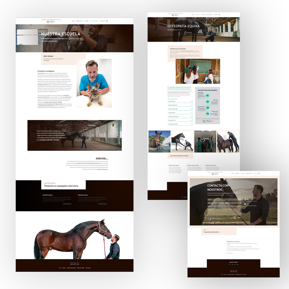 Vista previa Veterinary Osteopathy Instituto de Osteopatía Veterinaria