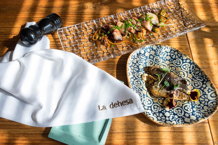 La-dehesa-restaurante-valencia-22